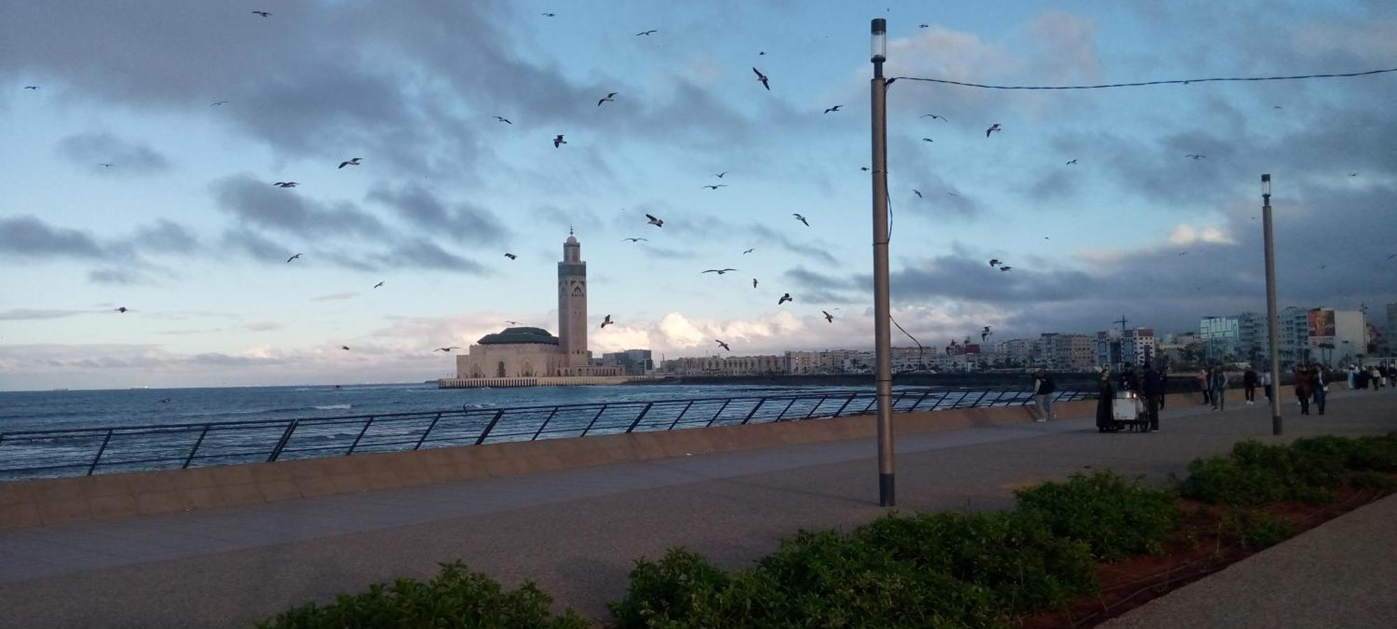 Moroccan Teguemi Casablanca Exterior foto